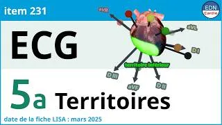Miniature : 231 - Electrocardiogramme (ECG) - Partie 5a - Les territoires