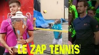 Miniature : Le Zap Tennis- Un singe qui joue au tennis, des points de fou....