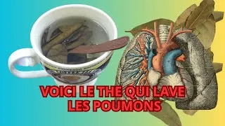 Miniature : Ma Recette Secrète du Thé au Laurier | Une Boisson Revigorante à Essayer Absolument!"