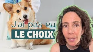 Miniature : Je ne voulais pas faire castrer mes chiens… mais j’ai dû le faire