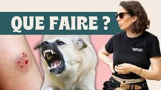 Miniature : Mon chien a MORDU quelqu'un !