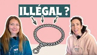 Miniature : Ils utilisent ENCORE le collier étrangleur !!!!