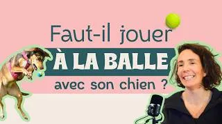 Miniature : ATTENTION : La balle ne convient pas à tous les chiens !