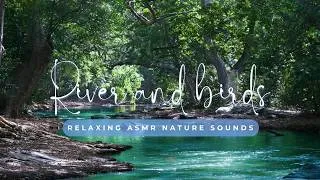Miniature : 3h relaxing ASMR : Birds and River flow for peaceful sleep, work, relaxation...