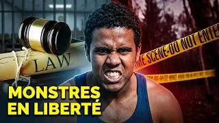 Miniature : LES DÉCISIONS JUDICIAIRES QUI ONT RELÂCHÉ DES MONSTRES