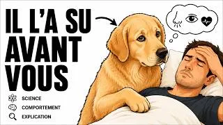 Miniature : Comportement animal : Votre chien sait-il que vous êtes malade avant vous ?