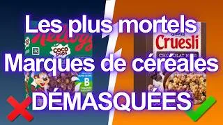 Miniature : Nous avons examiné 7 marques populaires françaises de céréales ! (Seulement 2 sont sûres)