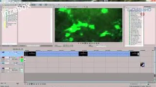 Miniature : TUTO | logo animer | SeDyManHD