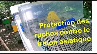 Miniature : filet protection ruche