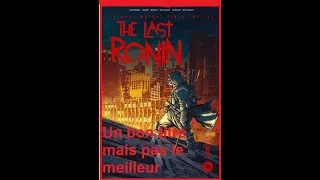 Miniature : The Last Ronin - Un titre sympa et efficace