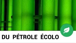 Miniature : DU PÉTROLE ÉCOLO