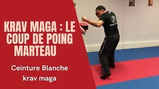 Miniature : krav maga : le coup de poing marteau 🔨 🔨🔨