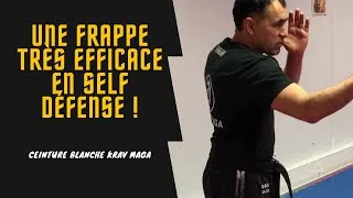 Miniature : UNE FRAPPE TRÈS EFFICACE EN SELF DÉFENSE !