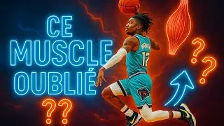 Miniature : LE MUSCLE OUBLIÉ QUI VA TE FAIRE SAUTER PLUS HAUT