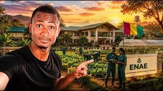 Miniature : J’ai découvert l’ENAE de Macenta : une école qui forme l’avenir agricole de la Guinée 🇬🇳