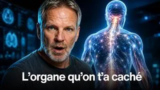 Miniature : On a trouvé un nouvel organe dans ton corps en 2018