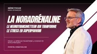 Miniature : Pourquoi tu paniques sous pression (et comment les champions restent calmes)