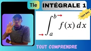 Miniature : Chapitre 1: Calculs d'Intégrale Simple / Exercice 1