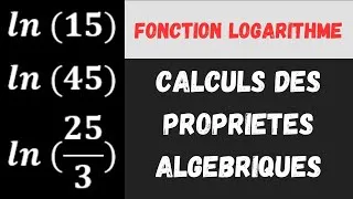 Miniature : Chapitre 1: Appliquer les formules sur les logarithmes