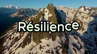 Miniature : résilience