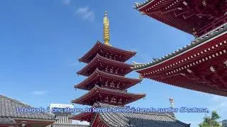 Miniature : 2025 09 TEMPLE BOUDDHISTE SENSO JI, Tokyo