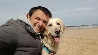 Miniature : 4 jours à la mer avec ma golden retriever