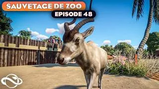 Miniature : Ce Parc a de GROS Problèmes ! Voici comment corriger | SAUVETAGE DE PARC 48 | PLANET ZOO