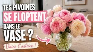 Miniature : Tes pivoines tombent dans le vase ? 🌸 Cette astuce les sauve