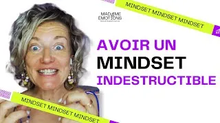 Miniature : Deviens INDESTRUCTIBLE : Adopte le MINDSET de Diamant