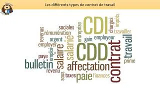 Miniature : Les différents types de contrats de travail