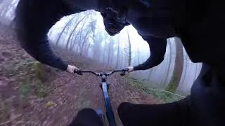 Miniature : TRAIL N' LINE: Frog X Flow