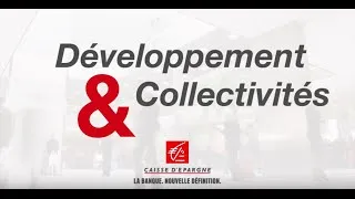 Miniature : Développement & Collectivités   2016