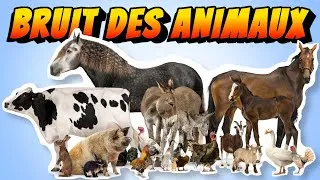 Miniature : APPRENDRE le [ bruit des ANIMAUX ]  de la ferme Pour BÉBÉ
