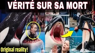 Miniature : Le dernier moment de Jessica Radcliffe 😓 | La vérité choquante sur l'attaque du dauphin