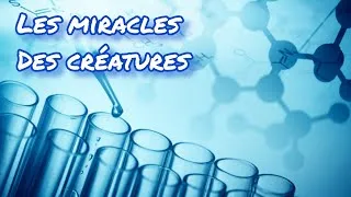 Miniature : LES MİRACLES DES CREATURES - L'incroyable équilibre des créatures #4