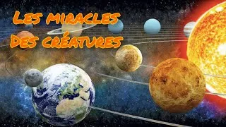 Miniature : LES MİRACLES DES CREATURES - Les Planètes #3