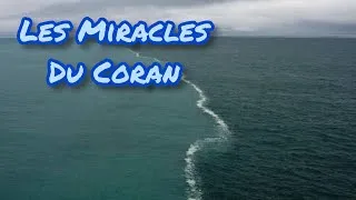 Miniature : LES MİRACLES DU CORAN - Les Mers #3