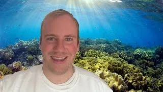 Miniature : DECRIPTMAN - PLONGÉE AUX MALDIVES