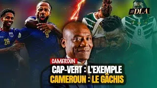 Miniature : LE CAP-VERT RÊVE, LE CAMEROUN PLEURE : LE GRAND GÂCHIS DES LIONS