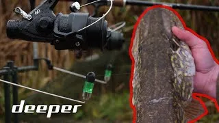 Miniature : PÊCHE DU BROCHET À L' APPÂT MORT AVEC DEEPER