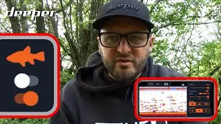 Miniature : DOIS-JE UTILISER LES ICÔNES DE POISSONS ?