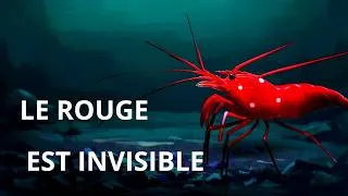 Miniature : L'art de disparaître du récif au fond de l'abîsse