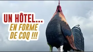 Miniature : Dingue : un hôtel en forme de coq !
