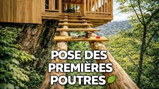 Miniature : Cabane dans l’arbre — Pose des poutres et coulage du béton