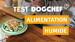 Miniature : DOG CHEF : TEST, AVIS & CODE PROMO DE -30% (ALIMENTATION FRAICHE POUR CHIEN)