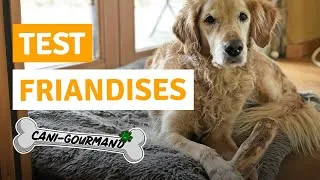 Miniature : UNBOXING CHIEN - TEST DES FRIANDISES DE MASTICATION CANI-GOURMAND