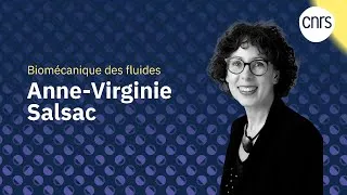 Miniature : Anne-Virginie Salsac, Biomécanique des fluides | Médailles du CNRS