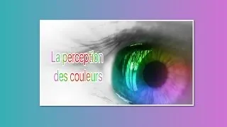 Miniature : LA PERCEPTION DES COULEURS