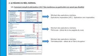 Miniature : #DELTA # Déclaration de la TVA CA3