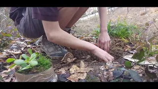 Miniature : Le déserteur  (Projet option cinéma)